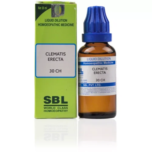 SBL Clematis Erecta (30ml) - Image 1