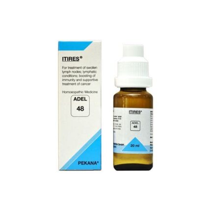 Adel 48 (Itires)