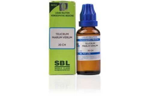 SBL Teucrium Marum Verum (30ml) - Image 1