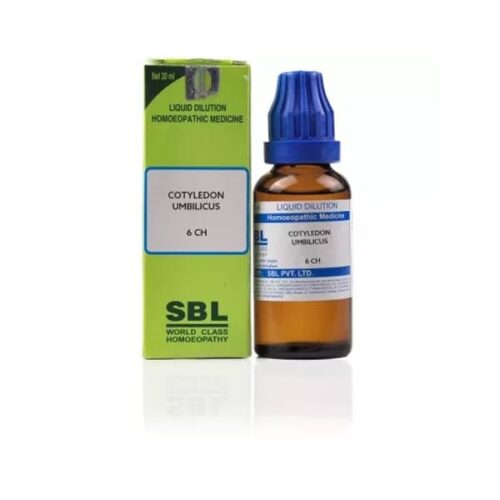SBL Cotyledon Umbilicus (30ml) - Image 1