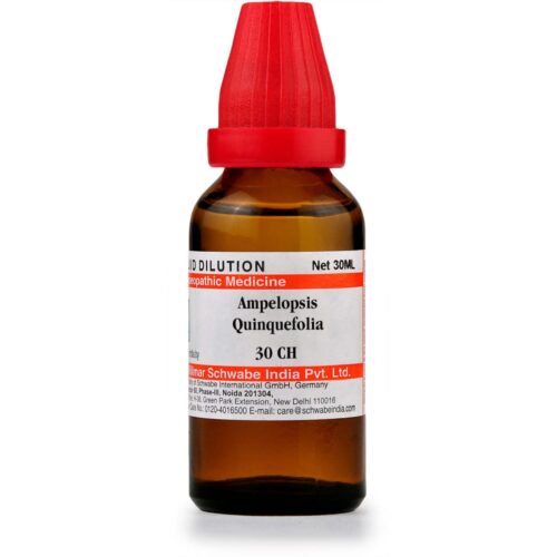Ampelopsis Quinquefolia (30ml) - Image 1