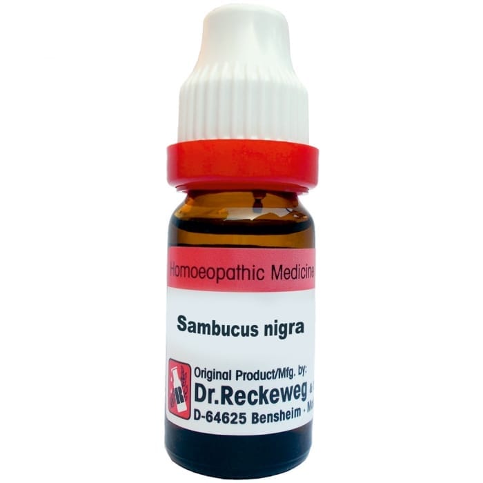 6_301117577_Sambucusnigra Dr. Reckeweg Sambucus Nigra - Image 1