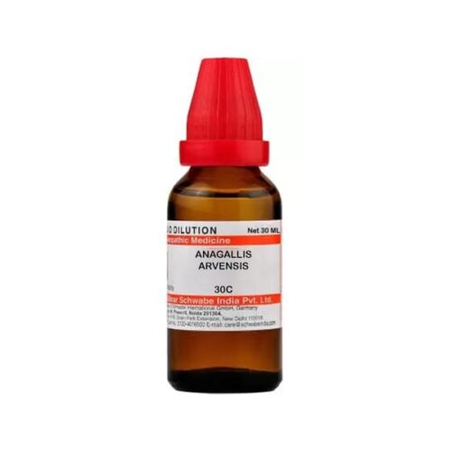 Anagallis Arvensis (30ml) - Image 1