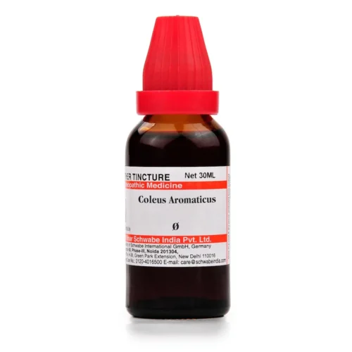Willmar Schwabe India Coleus Aromaticus 1X (Q) (30ml) - Image 1