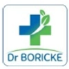 boric-logo