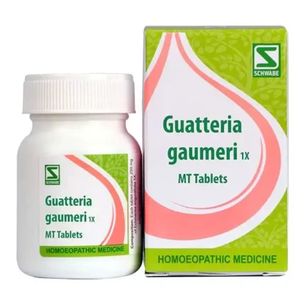 Guatteria Gaumeri