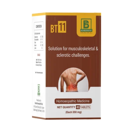 BT 11 tablets