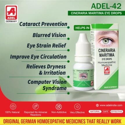 Adel 42 Cineraria Maritima (11ml)