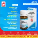 Calcarea Phosphorica benefits